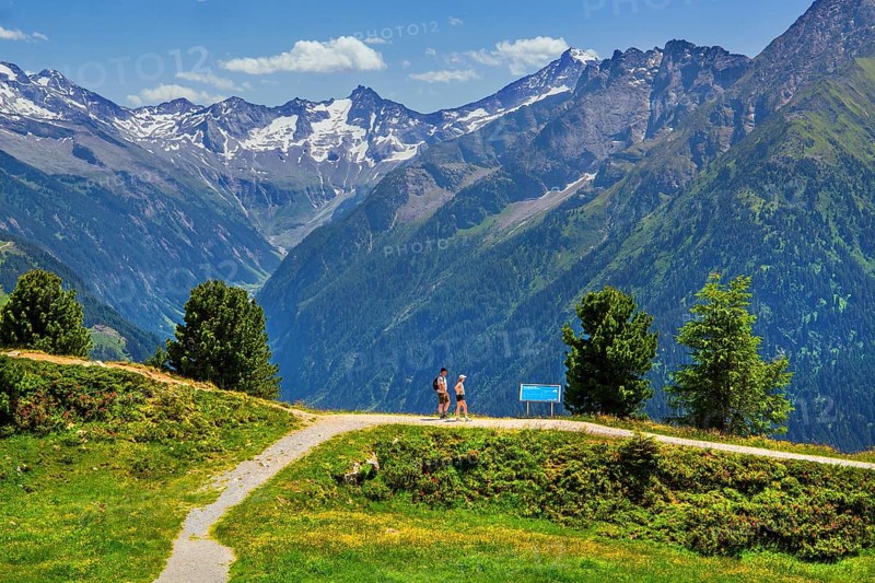 Hiking trail on the Penken with a view of the Stilluptal, Mayrhofen, Zillertal, Zillertal Alps, Tyrol, Austria