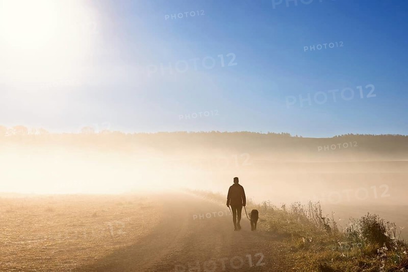 One person walking the dog on a gravel road with morning fog in a rural landscape in autumn