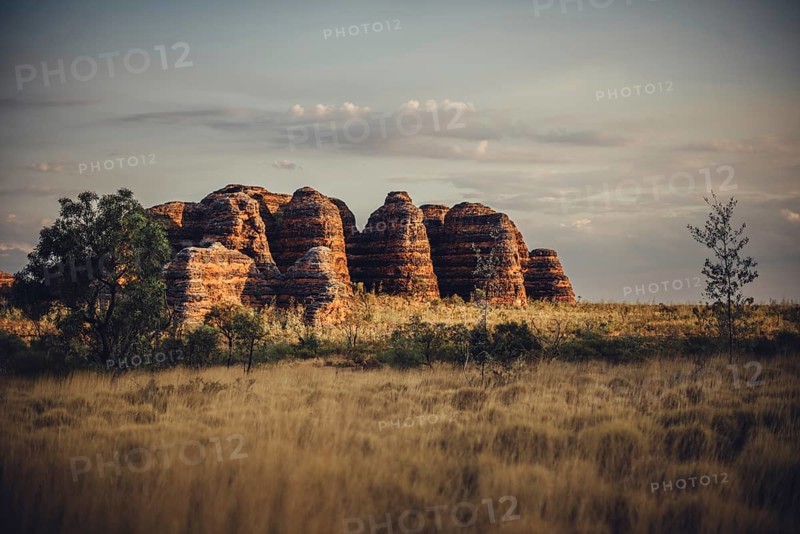 Bungle Bungle Range, Outback, hiking in Australia in high heat, Western Australia, Australia