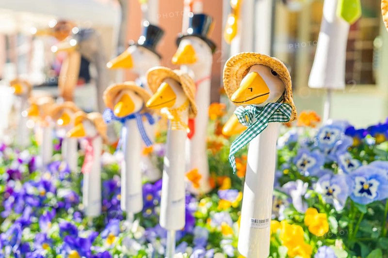 Colourful duck figures with straw hats surrounded by flowers, garden and ceramics Nagold, district of Calw, Germany