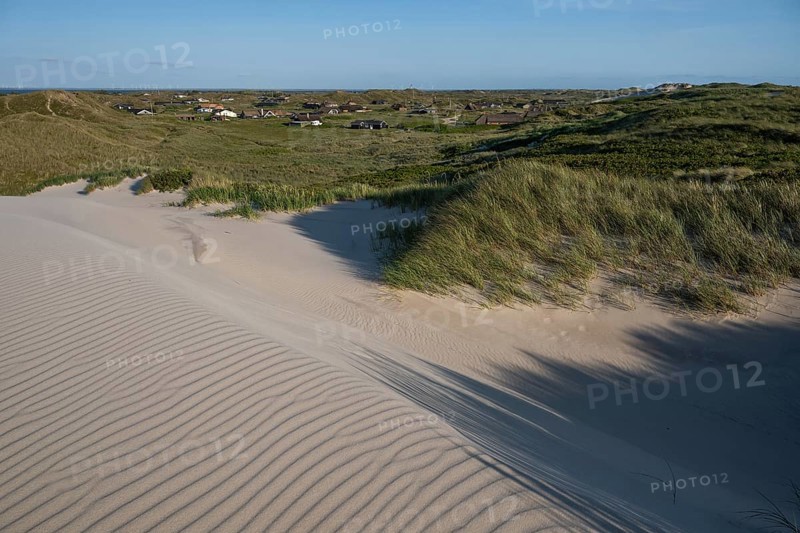 Dunes, wind-sculpted wave patterns in the sand, standing grass, dune landscape, holiday settlement, blue sky, Hvide Sande, North Sea, Denmark