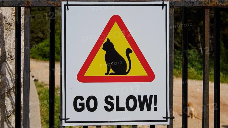 Traffic sign with cat and message 'Go Slow!' in a frame, Kalithea, cat station, Rhodes, Dodecanese, Greek Islands, Greece