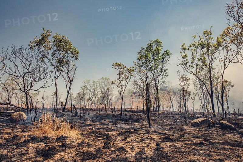 Bushfires in the Australian outback