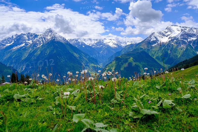 Penken, Mayrhofen, Zillertal, Tyrol, Austria