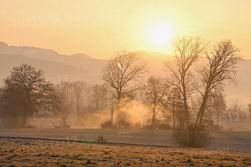 Meadows and trees in the early morning mist in the light of the rising sun, Reusstal, Aristau, Freiamt, Canton Aargau, Switzerland