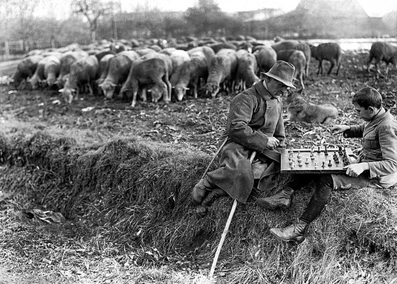 Shepherd playing chess with boys, ca. 1920, Two shepherds playing chess on a field, surrounded by a flock of sheep, historical photo
