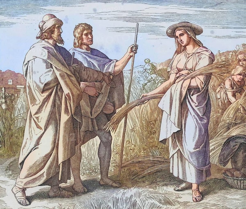Biblical story, Ruth cleaning in the field of Boaz, a Judean landowner from Bethlehem, digitally enhanced reproduction of a wood engraving by Julius Schnorr von Carolsfeld, historical, around 1860, exact date unknown