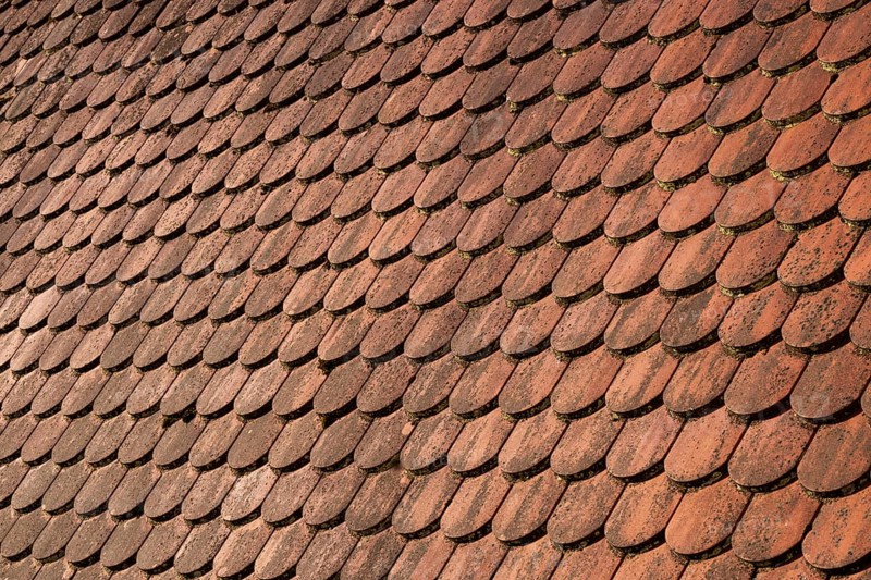 Red shingle roof, house roof, detail, Steyr, Upper Austria, Austria