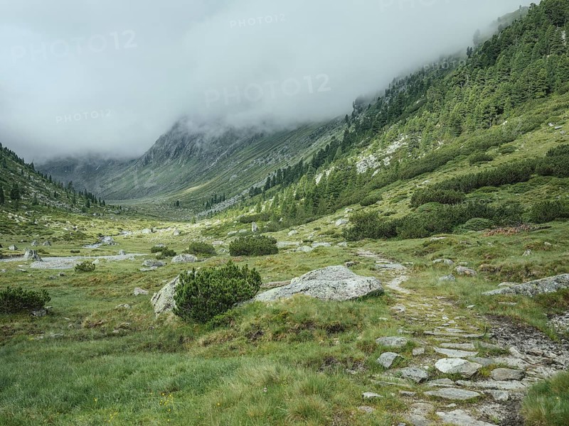 Historic mule track, Windbachtal, Krimmler Tauern, Pinzgau, Salzburg, Austria