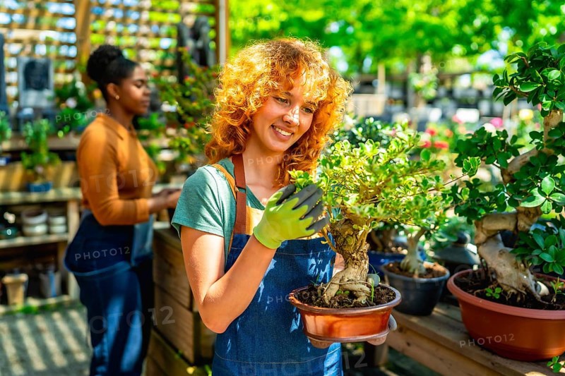Redhead gardener wearing gloves holding a bonsai tree in a terracotta pot, smiling, in a plant nursery or greenhouse, with a colleague in the background