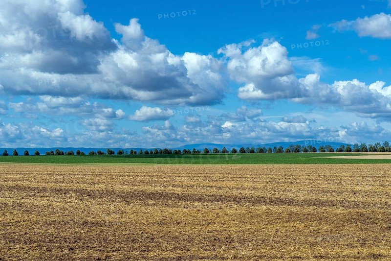 Saxony-Anhalt, Brocken, summit, Harz, northern Germany, weather, cumulus, field, agriculture, tree row, Harz foreland, northern, Halberstadt