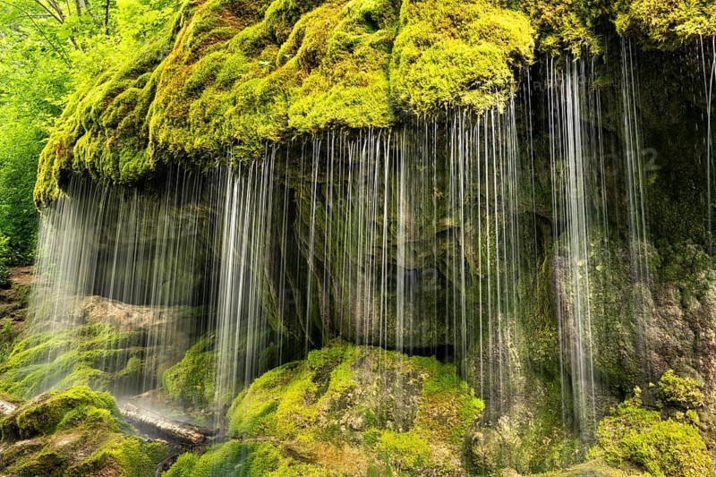 The Dietfurt waterfall, moss and stones, long exposure, Wutach Gorge, Black Forest, Baden-Württemberg, Germany