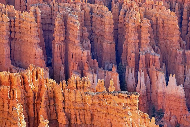 Bryce Canyon, Bryce Canyon National Park, Utah, USA
