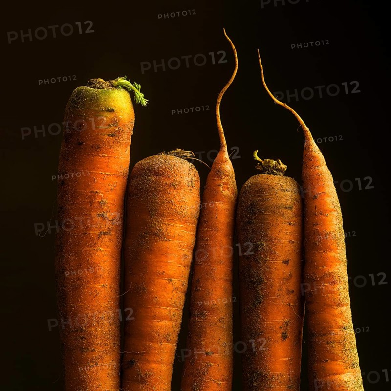 Five vibrant orange carrots, with earthy textures, are displayed together. The organic shapes showcase their freshness, highlighting their natural roots and greens against a soft background
