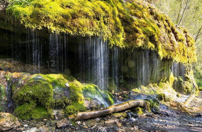 Dietfurt Waterfall, a moss waterfall in the Wutach Gorge, Black Forest, Baden-Württemberg, Germany