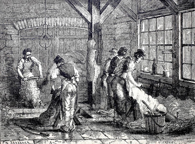 Leather processing, the hair removal and removal of the meat parts from the animal skins by means of a working tree, around 1880, digitally improved reproduction of a 19th century model, historical, exact date unknown
