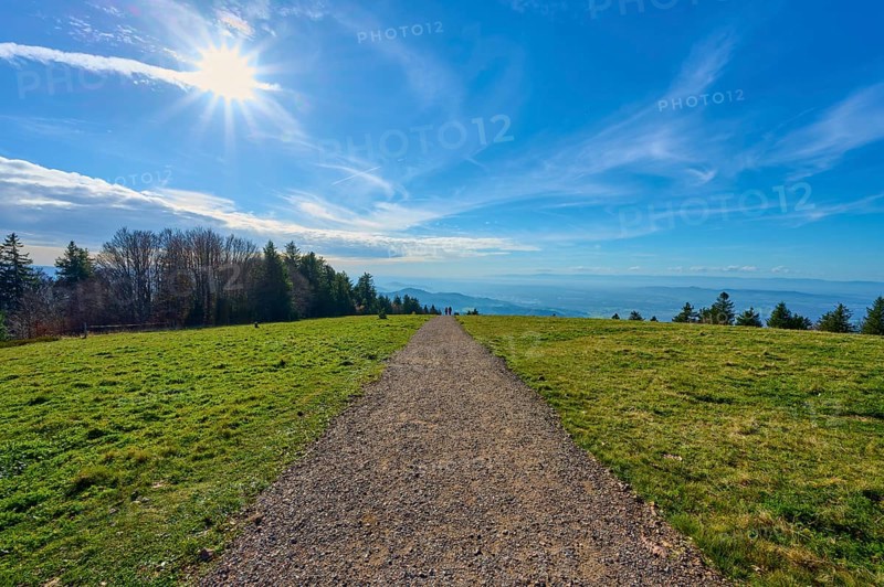 Kandel Höhenweg through a green meadow under bright sunshine with a wide view, Kandel, Waldkirch, Black Forest, Baden-Württemberg, Germany