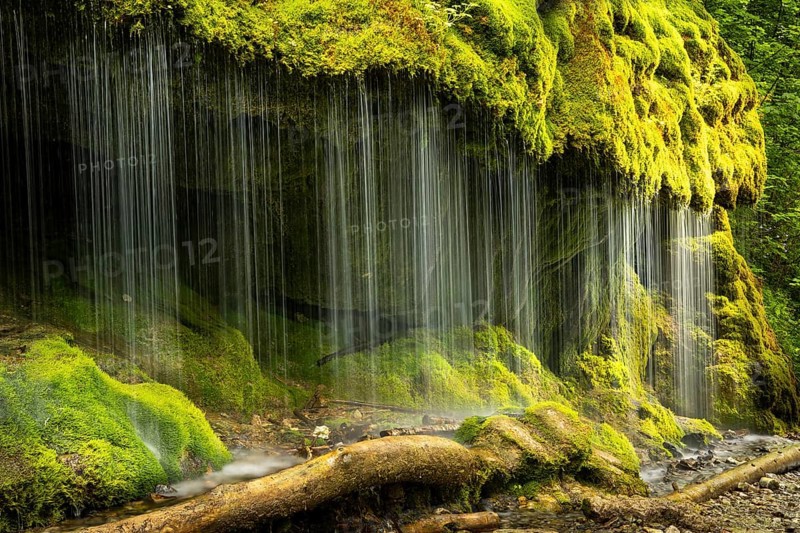 The Dietfurt waterfall, moss and stones, long exposure, Wutach Gorge, Black Forest, Baden-Württemberg, Germany