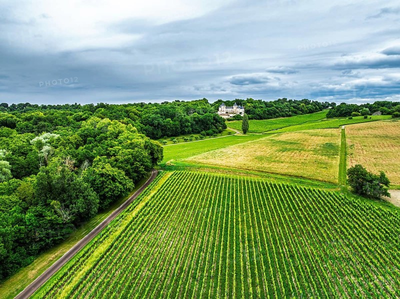 Castle of La Riviere, Vineyard Chateau de La Riviere from a drone, Bordeaux, France