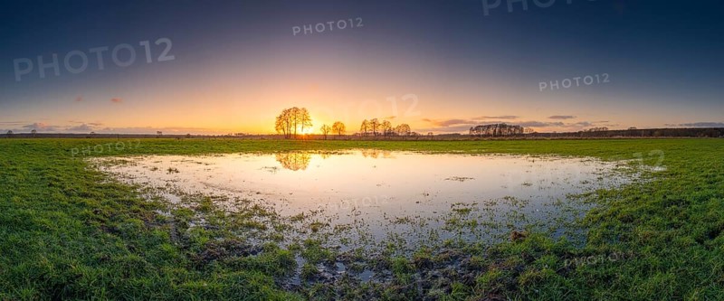 View of a puddle on a meadow at sunset, landscape photo, nature photo, flora, fauna, landscape format, panorama, pasture, grasses, lowland, sky, clouds, backlight, Neustadt am Rübenberge, Hanover region, Lower Saxony, Germany