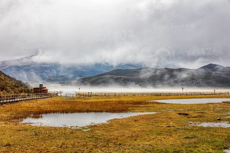 Fog, National Park, Cotopaxi, Ecuador