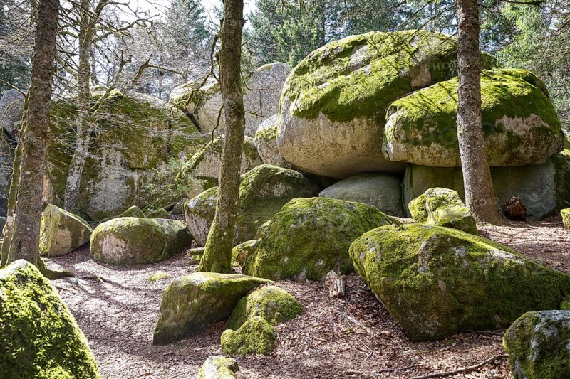 Granite rock Günterfelsen near the source of the Danube, Furtwangen in the Black Forest, Baden-Württemberg, Germany