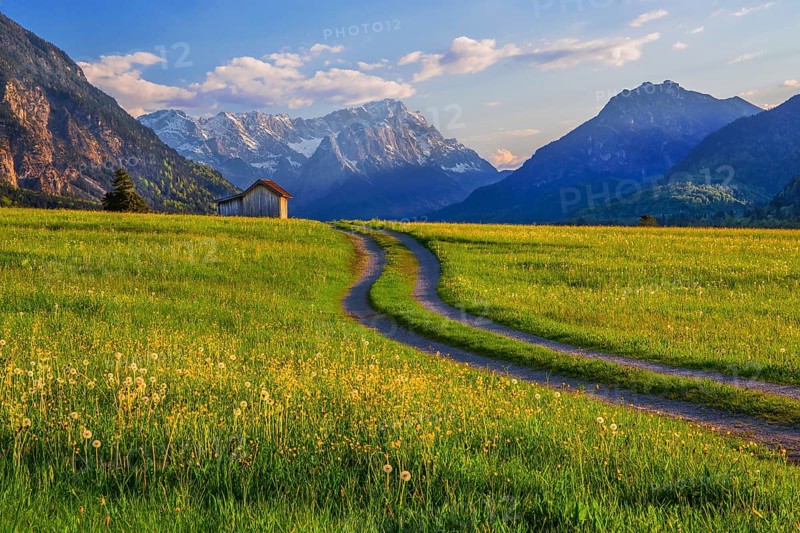 Spring meadow with the Zugspitzgruppe 2962m in the evening sun, Eschenlohe, Wetterstein range, Loisachtal, Das Blaue Land, Upper Bavaria, Bavaria, Germany