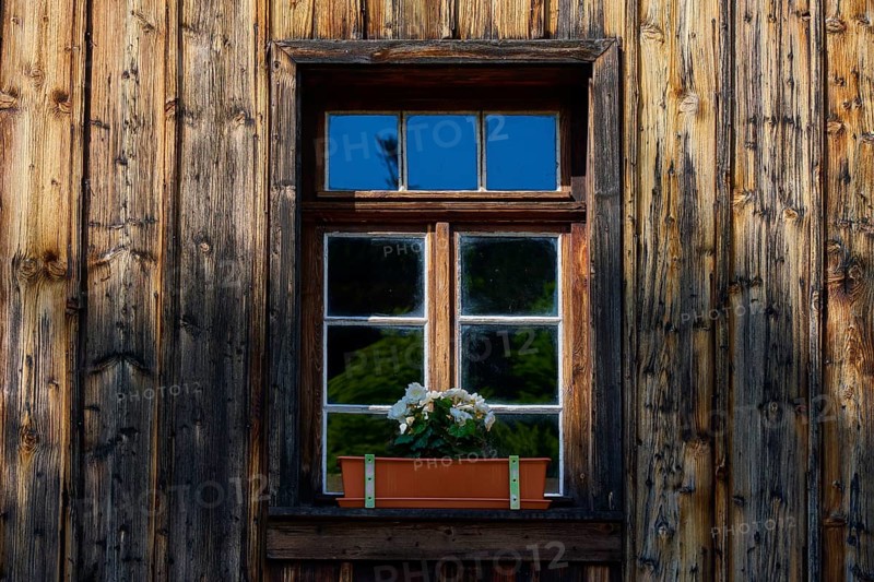 Rustic wooden window with flower box in a play of light and shadow, Triberg im Schwarzwald, Schwarzwald-Baar-Kreis, Black Forest, Baden-Württemberg, Germany