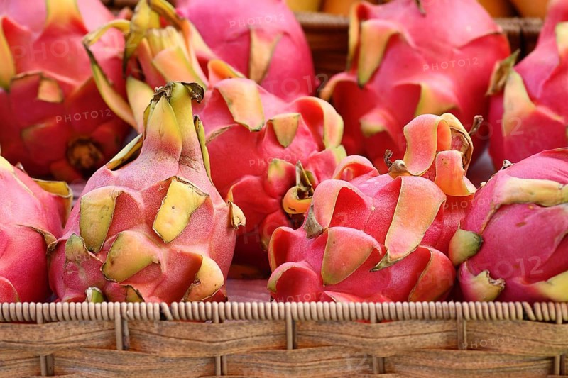 Fresh exotic Dragonfruit fruits for sale at market