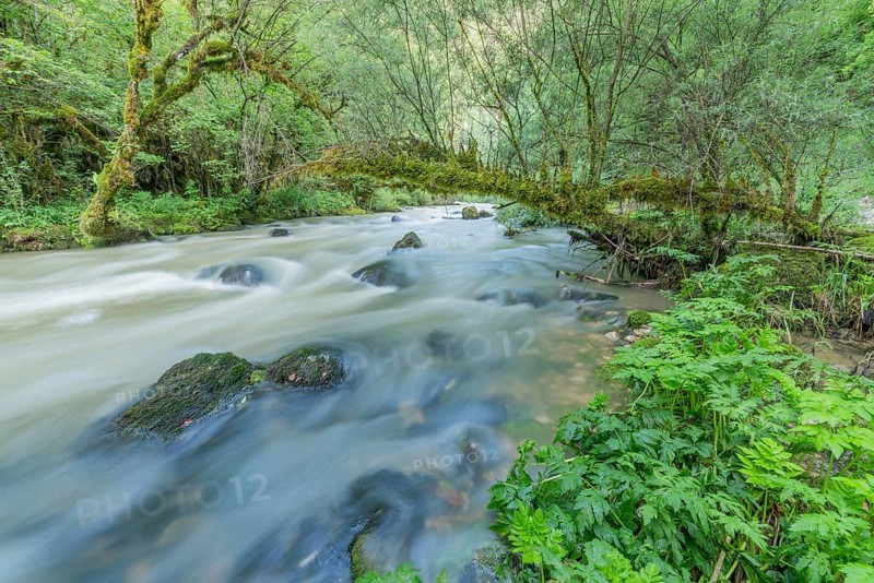 A river flows through a lively forest with smooth rocks that are partially submerged in the water. The sunlight filters through the trees and creates a peaceful atmosphere in the natural surroundings. Jura, France
