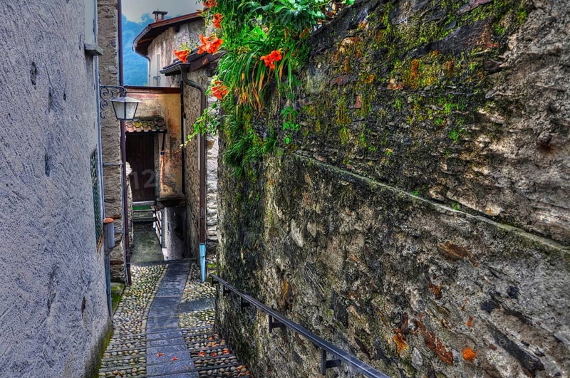 Narrow Street with Old Rustic House and Beautiful Flowers in Ronco sopra Ascona, Ticino, Switzerland