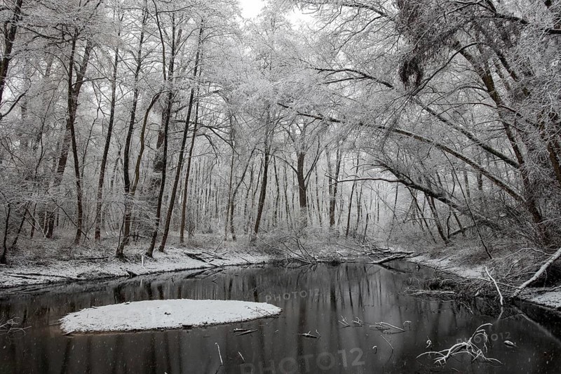 Standing water in riparian forest in winter, late onset of winter in North Rhine-Westphalia, heavy snowfall, local nature, landscapes in the snow, rare weather conditions in the Rhineland, Lower Rhine, Meerbusch, North Rhine-Westphalia, Germany, Western Europe