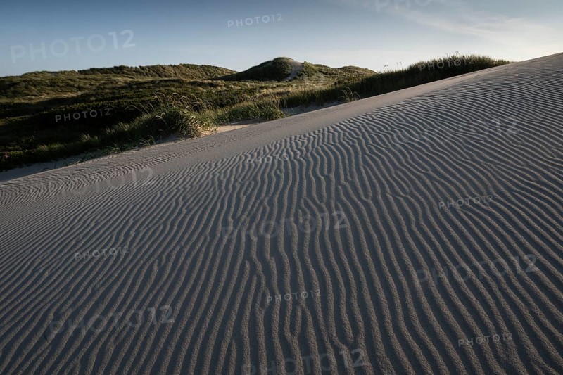 Dunes, wind-sculpted wave patterns in the sand, standing grass, dune landscape, holiday settlement, blue sky, Hvide Sande, North Sea, Denmark