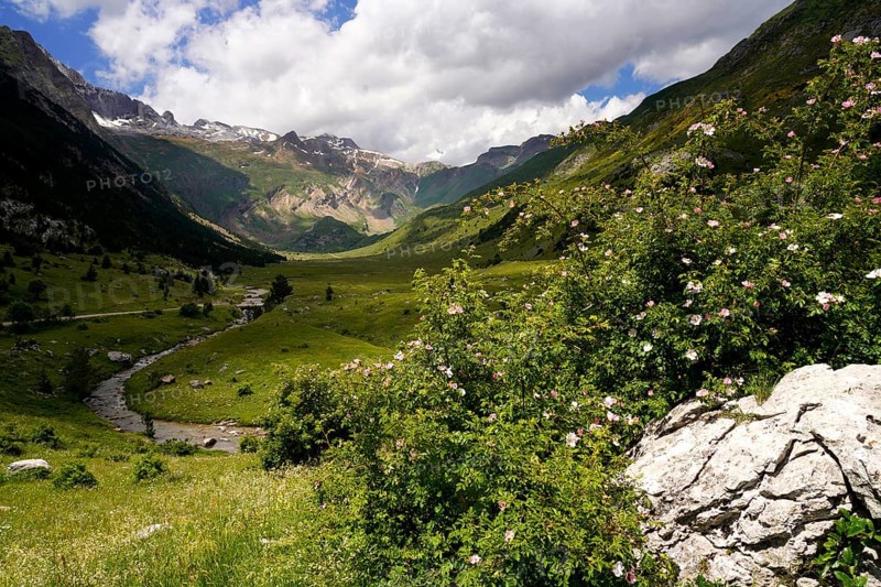 Mountain landscape in the Valle de Otal near Torla-Ordesa, Spain
