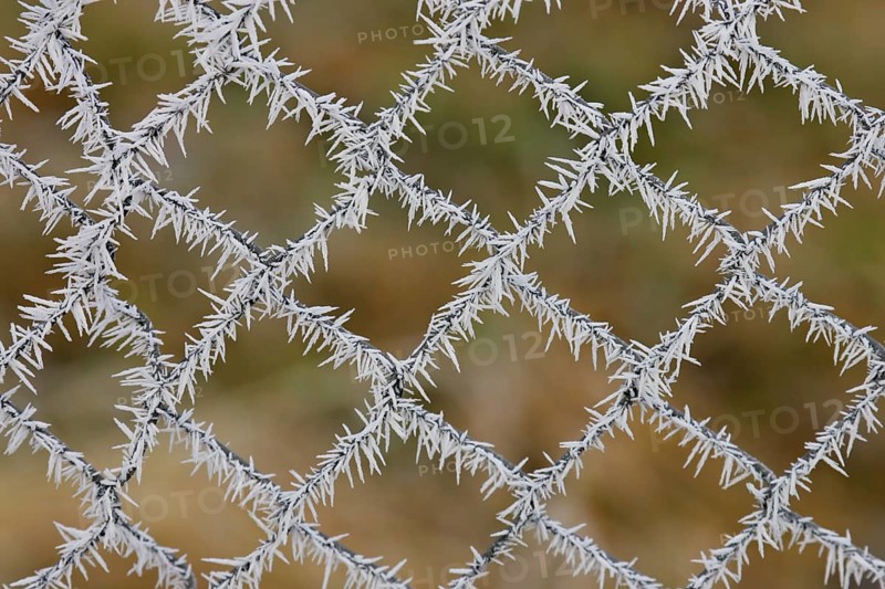 Ice crystal on wire mesh fence in winter, Brandenburg, Germany