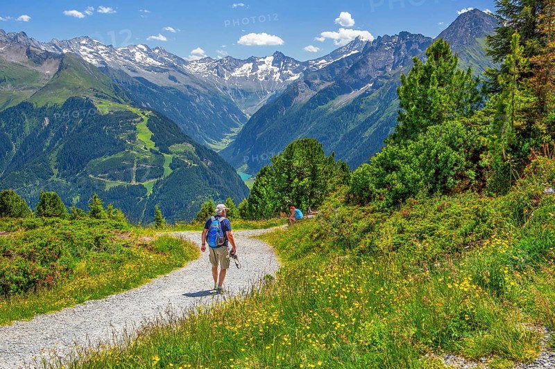 Hiking trail on the Penken with a view of the Stilluptal, Mayrhofen, Zillertal, Zillertal Alps, Tyrol, Austria