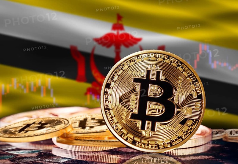 Bitcoin with Brunei flag in the background. Investors in cryptocurrency and Blockchain Technology in Brunei, Concept