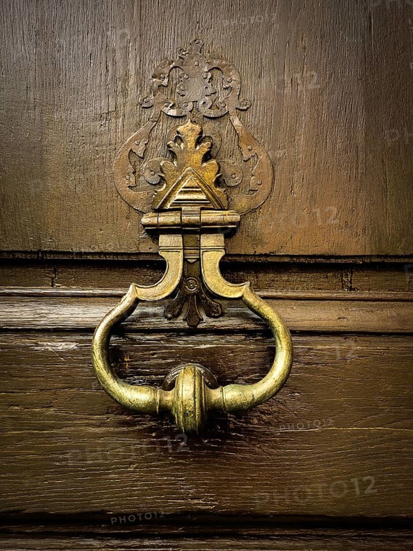 This striking door knocker blends vintage charm with intricate design, placed on a weathered wooden door. It reflects a sense of history and craftsmanship