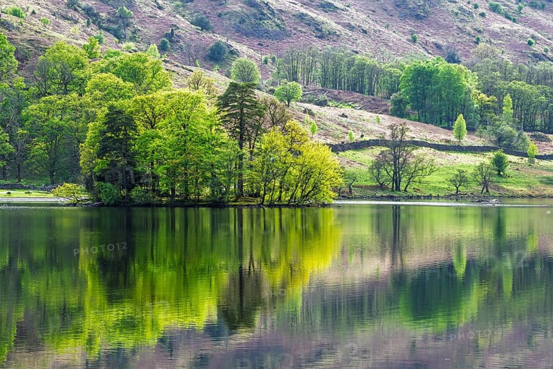 Rydal Water, Rydal, Ambleside, Lake District, Westmorland, Cumbria, England, United Kingdom