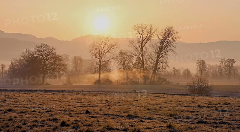 Meadows and trees in the early morning mist in the light of the rising sun, Reusstal, Aristau, Freiamt, Canton Aargau, Switzerland
