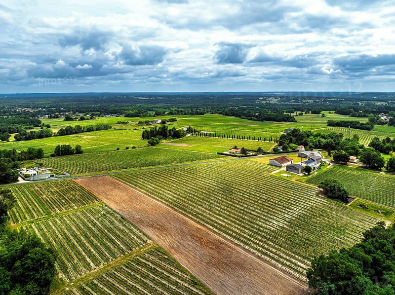 Vineyards and grape fields around Bordeaux from a drone, Saint-Mariens, Gironde, Nouvelle-Aquitaine, France