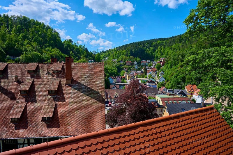 View of a village with red roofs, surrounded by green hills and forests, Triberg im Schwarzwald, Schwarzwald-Baar-Kreis, Black Forest, Baden-Württemberg, Germany