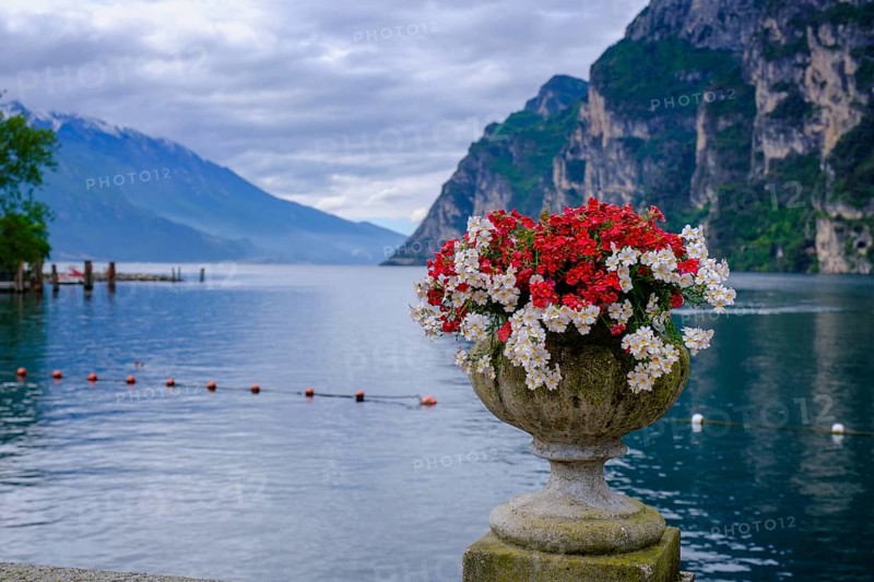 Flower amphora, Punta Lido, promenade, spa gardens, Riva del Garda, Lake Garda, Trentino, Trentino-Alto Adige, IItaly