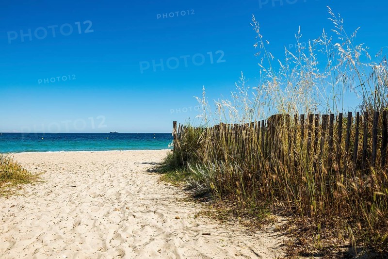 Sandy beach beach, Plage de Tahiti, Saint Tropez, Var, French Riviera, Provence-Alpes-Cote d'Azur, Cote d Azur, France