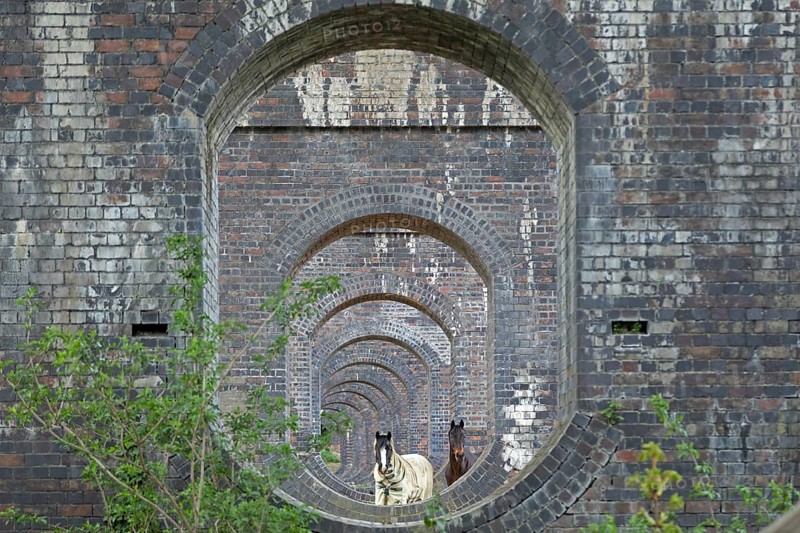 View through openings in piers of a railway viaduct, horses, Stanway, Broadway, The Cotswolds, England, Great Britain