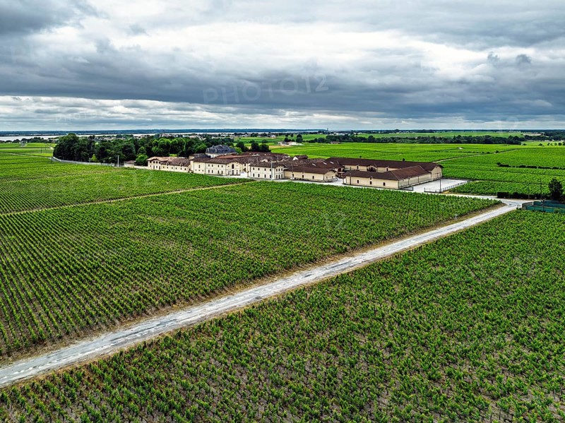 Chateau Pontet-Canet Vineyard and grape fields around Pauillac and Gironde Estuary from a drone, Bordeaux, Gironde, Nouvelle-Aquitaine, France
