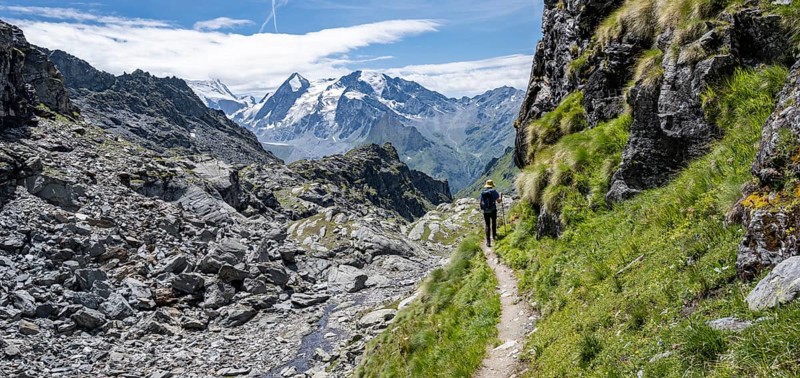Mountaineer on hiking trail in mountain landscape, descent at Col du Louvie, view of the summit of the Grand Combine, Valais Alps, Val de Bagnes, Valais, Switzerland