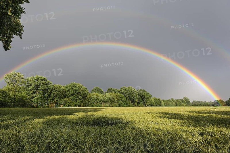 Intense double rainbow over cereal fields in summer, Germany