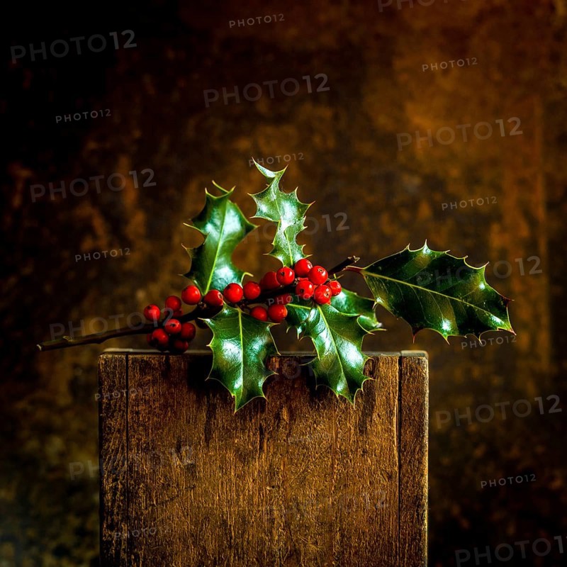 A branch of Christmas holly featuring vibrant red berries and shiny green leaves is elegantly placed on a rustic wooden surface. The warm brown background enhances the seasonal charm