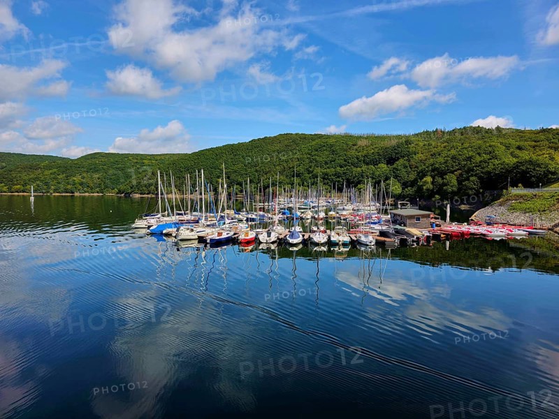 Quiet harbour with sailing boats under a blue sky and reflections in the water, surrounded by forest, summer, Rursee, Rurtalsperre, Simmerath, Eifel National Park, North Rhine-Westphalia, Germany